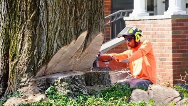 Gebhard & Son Tree Service | Lancaster, PA | Bucket Truck